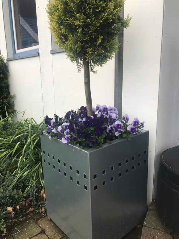 Blomsterkumme med mønster øverst Blomsterkumme med mønster øverst