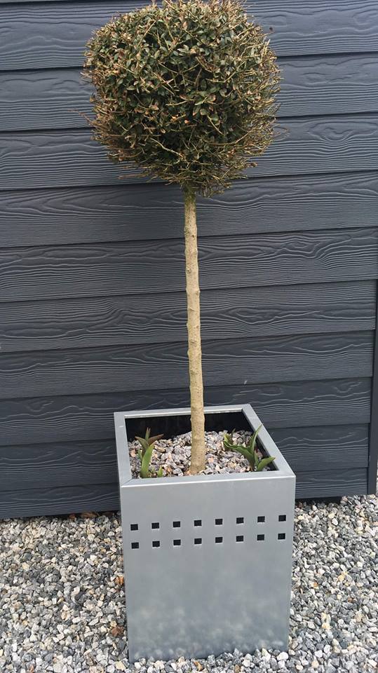 Blomsterkummer med mønster øverst Blomsterkummer med mønster øverst