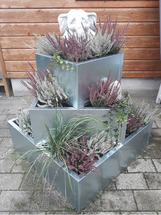 Blomsteropsats galvaniseret stål Blomsteropsats galvaniseret stål