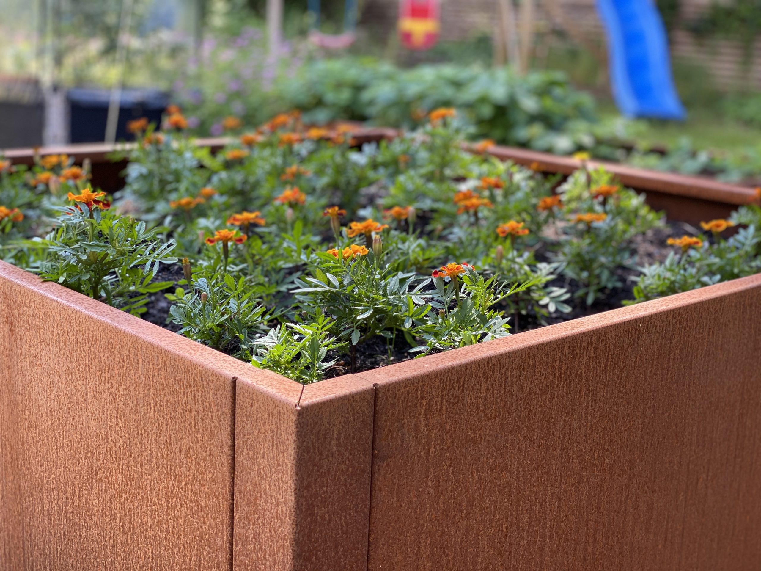 Kvadratisk corten højbed