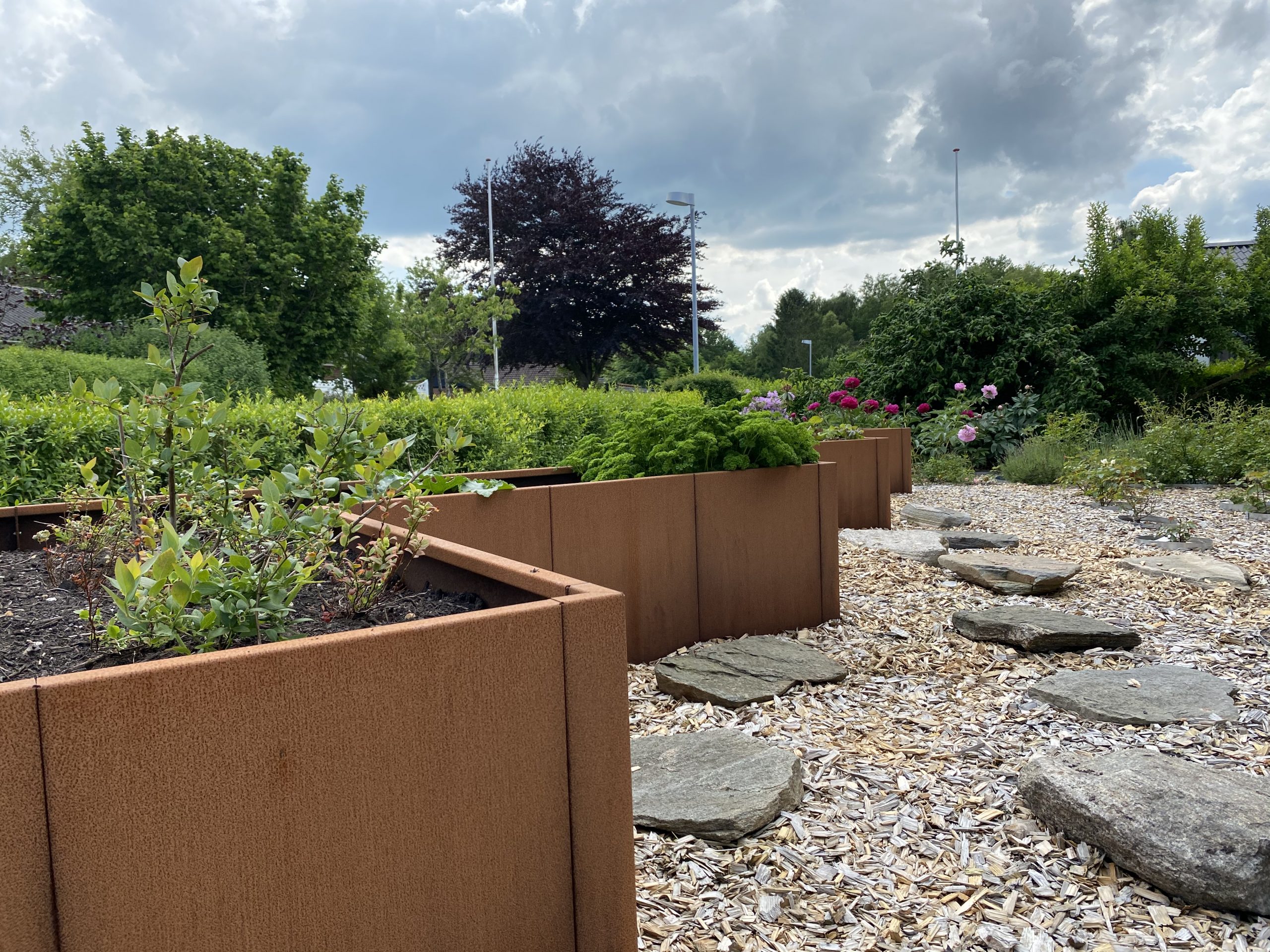 L-Formet højbed corten