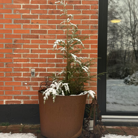 Krukke med hjul